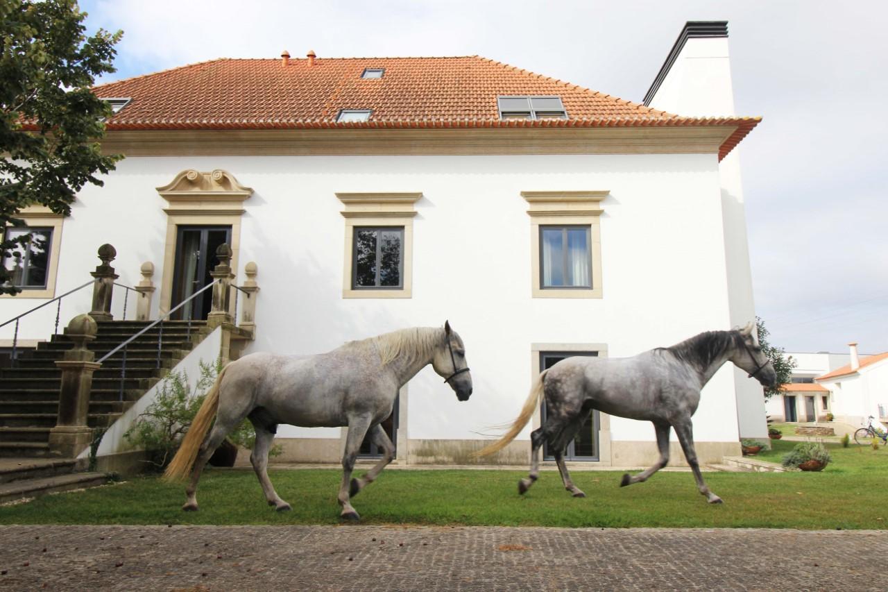 Quinta Da Aldeia De Avanca Exteriér fotografie