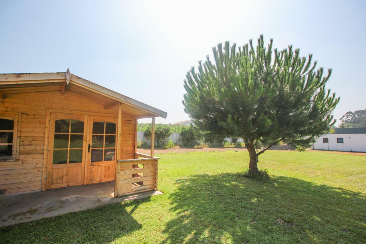 Quinta Da Aldeia De Avanca Exteriér fotografie